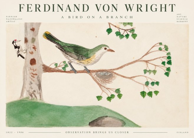 Ferdinand von Wright Green Warbler with Nest No5 - Juliste