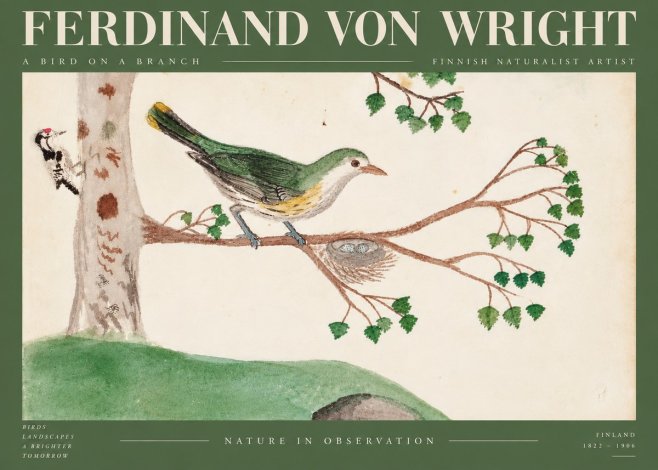 Ferdinand von Wright Green Warbler with Nest No6 - Juliste