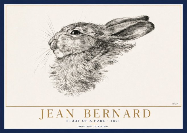 Jean Bernard Study of a Hare No3 - Juliste
