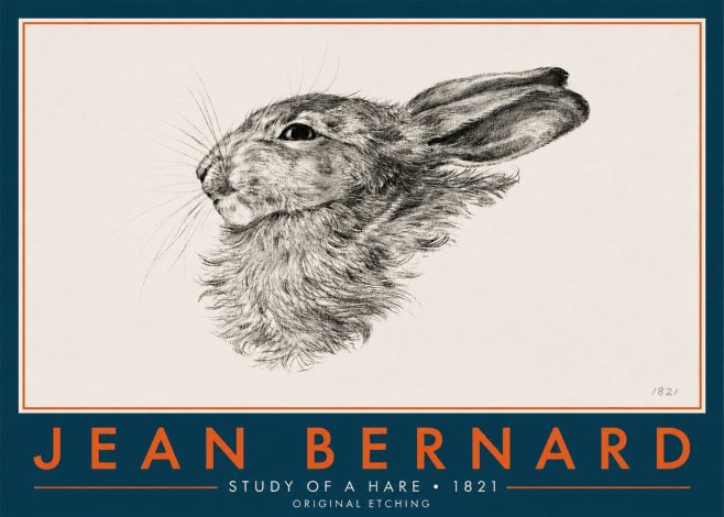 Jean Bernard Study of a Hare No6 - Juliste