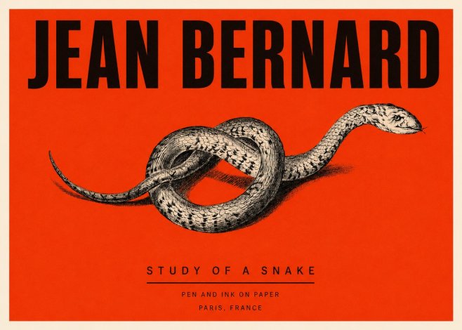 Jean Bernard Study of a Snake No3 - Juliste
