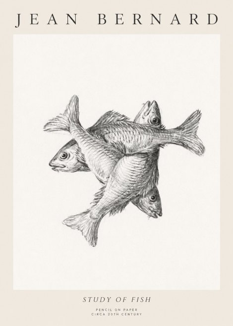 Jean Bernard Study of Fish No1 - Juliste