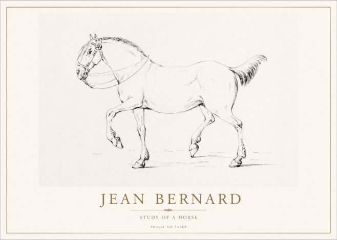 Jean Bernard Study of a Horse XVI No1 - Juliste