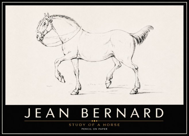 Jean Bernard Study of a Horse XVI No6 - Juliste