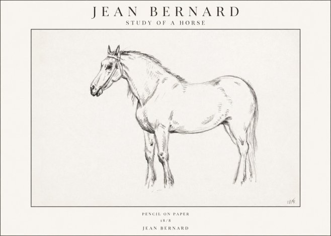 Jean Bernard Study of a Horse XVII No1 - Juliste