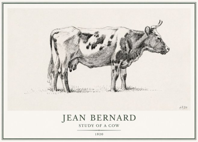 Jean Bernard Study of a Cow XX No1 - Juliste