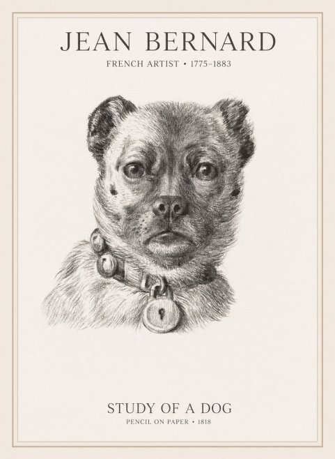 Jean Bernard Study of a Dog IV No1 - Juliste