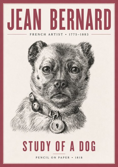 Jean Bernard Study of a Dog IV No5 - Juliste