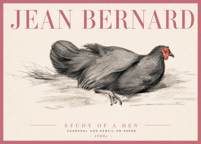 Jean Bernard Study of a Hen No3 - Juliste
