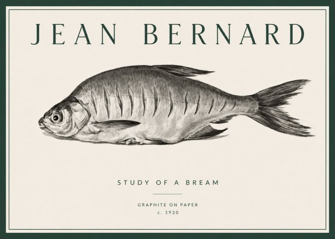 Jean Bernard Study of a Bream No3 - Juliste