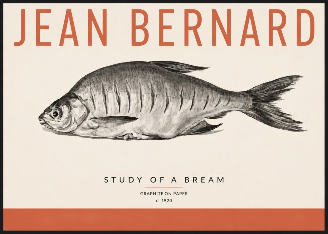 Jean Bernard Study of a Bream No4 - Juliste