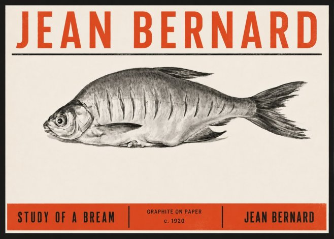 Jean Bernard Study of a Bream No6 - Juliste