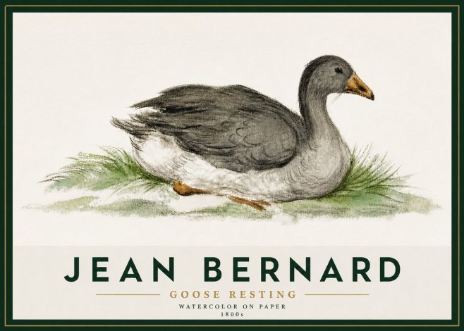 Jean Bernard Goose Resting No5 - Juliste