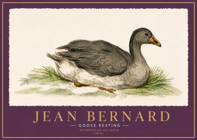 Jean Bernard Goose Resting No6 - Juliste