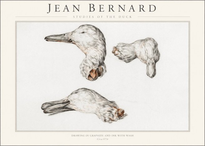 Jean Bernard Studies of the Duck No1 - Juliste