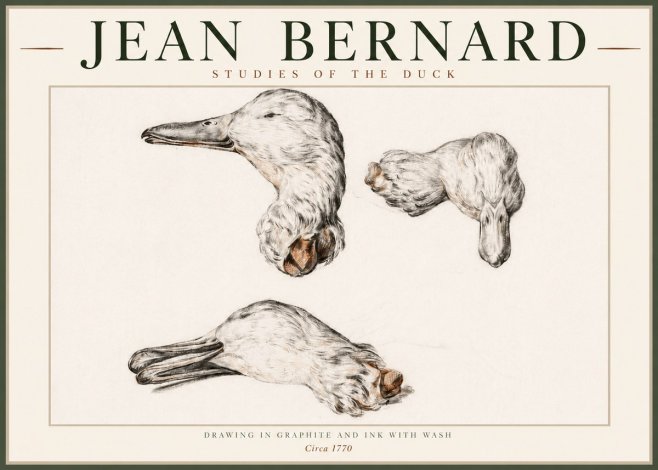 Jean Bernard Studies of the Duck No4 - Juliste