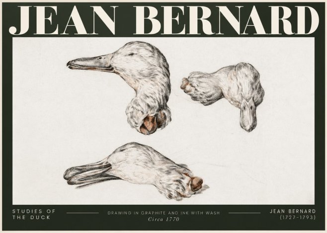 Jean Bernard Studies of the Duck No5 - Juliste