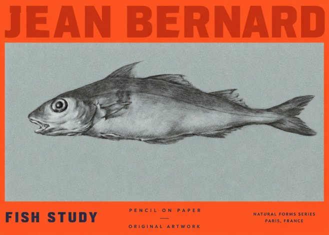 Jean Bernard Fish Study I No2 - Juliste