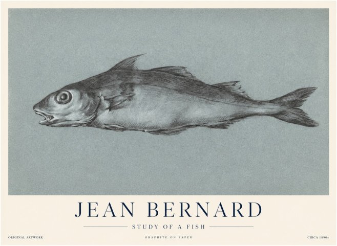 Jean Bernard Fish Study I No4 - Juliste