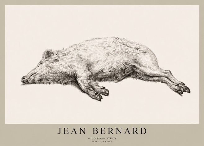 Jean Bernard Wild Boar Study No1 - Juliste