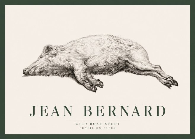 Jean Bernard Wild Boar Study No2 - Juliste