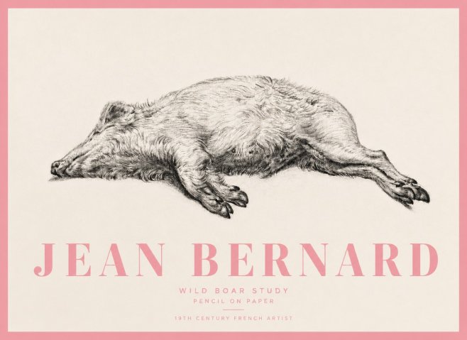 Jean Bernard Wild Boar Study No5 - Juliste