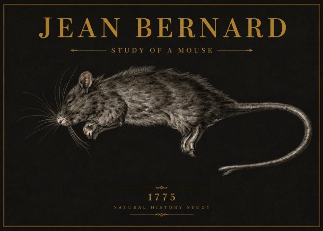 Jean Bernard Study of a Mouse II No6 - Juliste