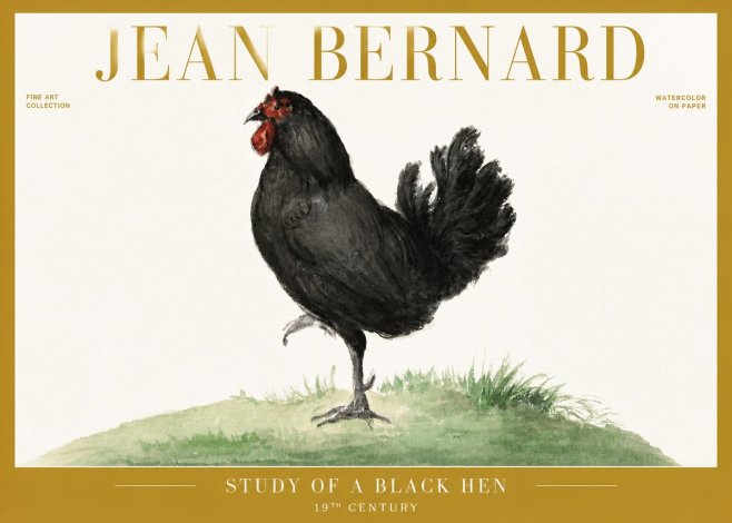Jean Bernard Study of a Black Hen No6 - Juliste