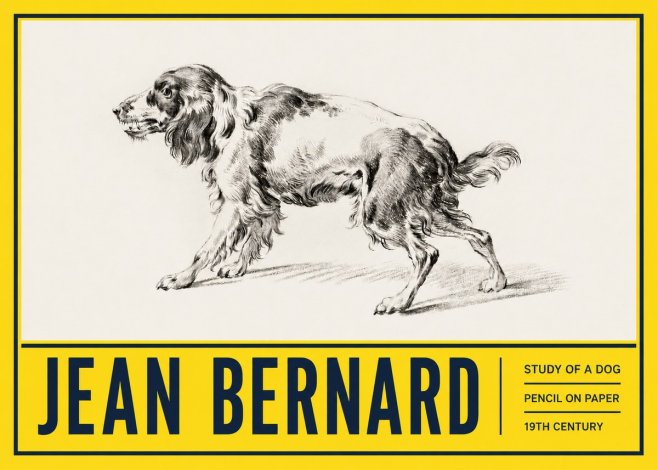 Jean Bernard Study of a Dog V No5 - Juliste