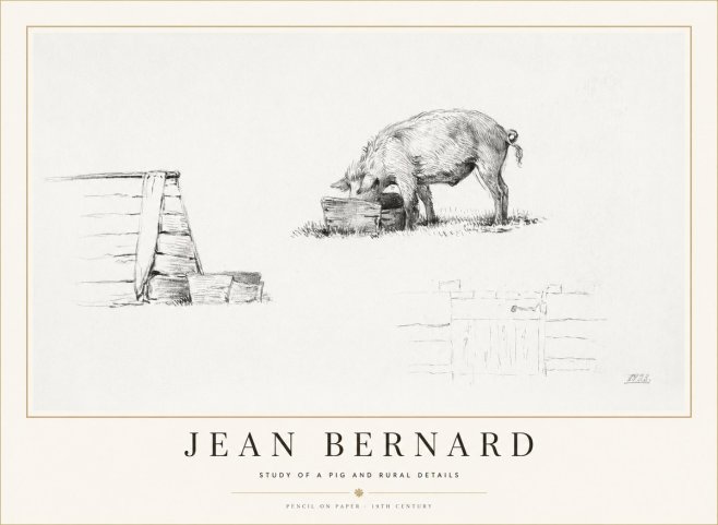 Jean Bernard Pig Study No2 - Juliste