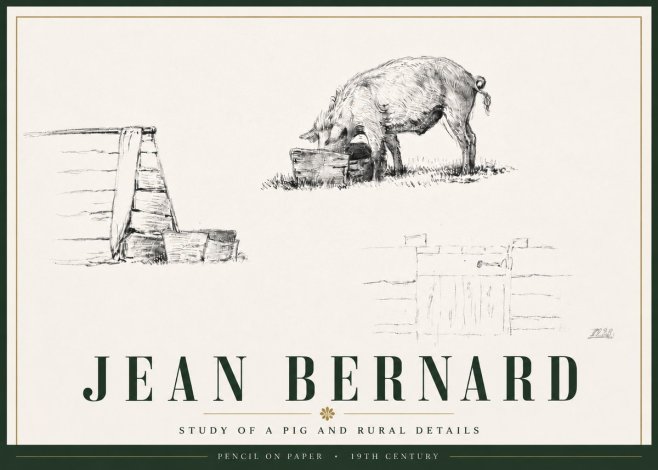 Jean Bernard Pig Study No6 - Juliste