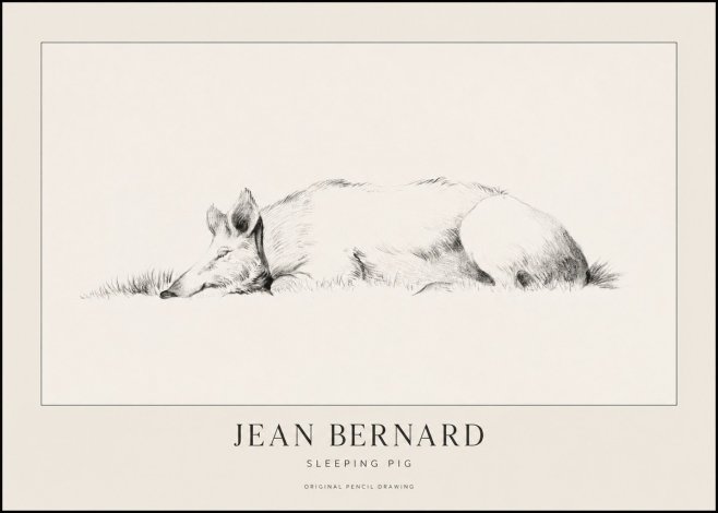 Jean Bernard Sleeping Pig II No1 - Juliste