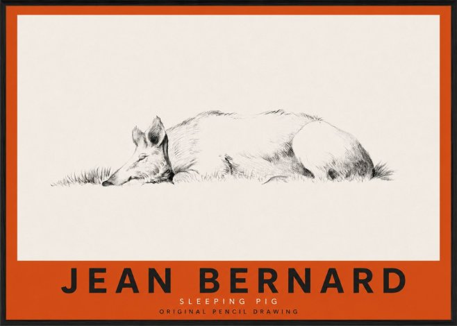 Jean Bernard Sleeping Pig II No3 - Juliste