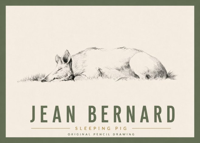 Jean Bernard Sleeping Pig II No5 - Juliste