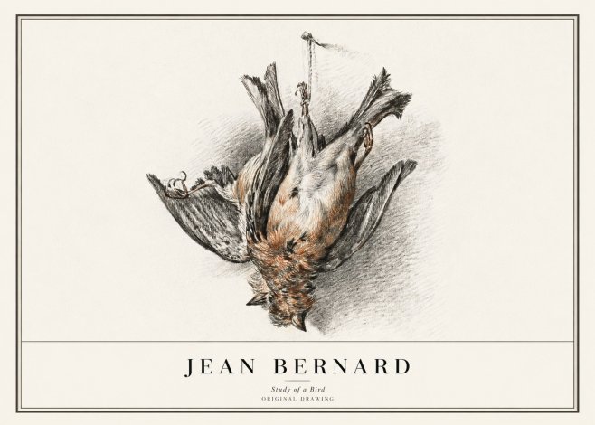 Jean Bernard Study of a Bird IV No1 - Juliste