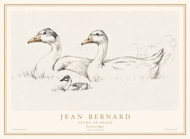 Jean Bernard Study of Geese No1 - Juliste