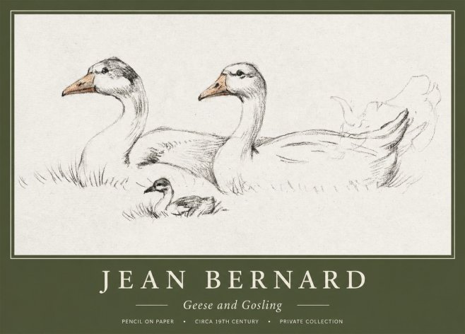 Jean Bernard Study of Geese No2 - Juliste