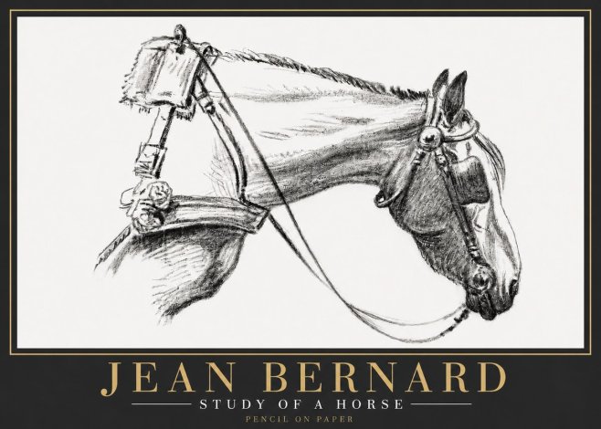 Jean Bernard Study of a Horse XVIII No6 - Juliste