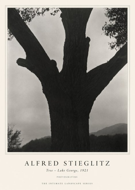 Alfred Stieglitz Tree - Lake George, 1921 No1 - Juliste