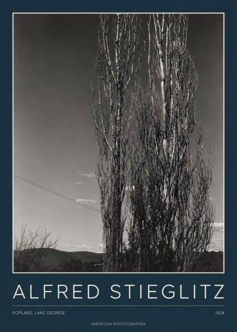 Alfred Stieglitz Trees - Lake George, 1921 No4 - Juliste