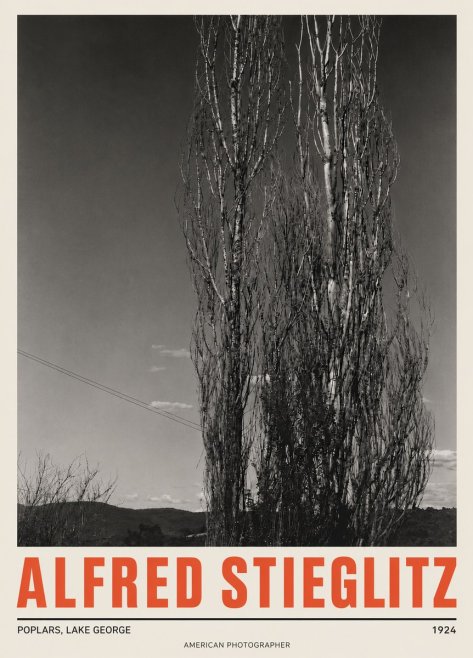 Alfred Stieglitz Trees - Lake George, 1921 No5 - Juliste