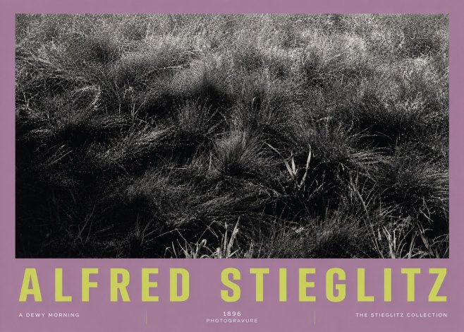 Alfred Stieglitz A Dewy Morning No5 - Juliste