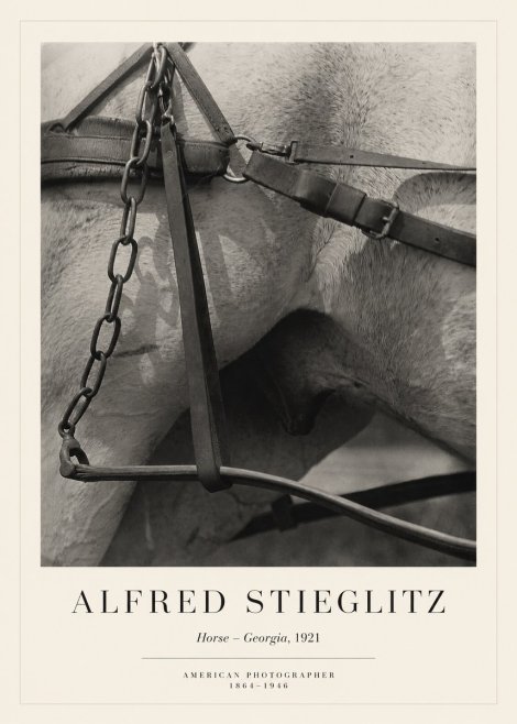 Alfred Stieglitz The Steerage I No6 - Juliste