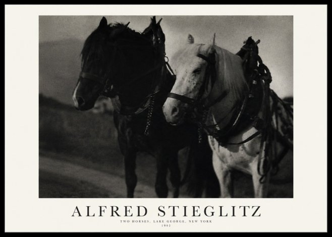 Alfred Stieglitz Two Horses, Lake George, New York No1 - Juliste