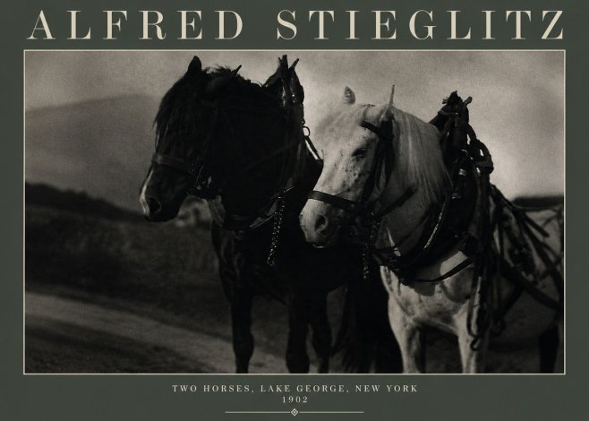 Alfred Stieglitz Two Horses, Lake George, New York No3 - Juliste