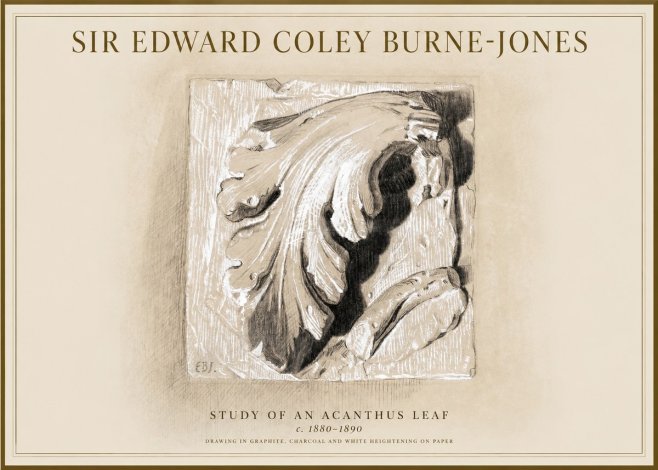 Edward Burne-Jones Study of an Acanthus Leaf No1 - Juliste