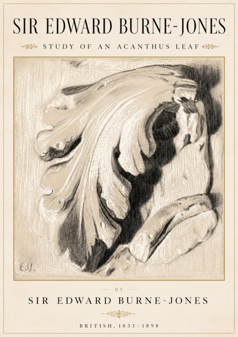 Edward Burne-Jones Study of an Acanthus Leaf No2 - Juliste