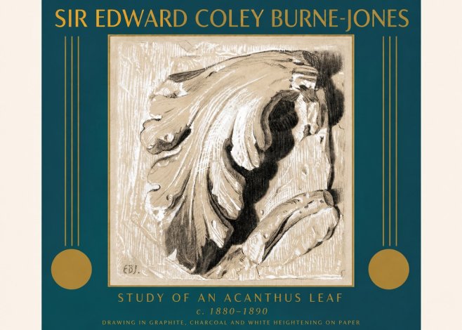 Edward Burne-Jones Study of an Acanthus Leaf No3 - Juliste