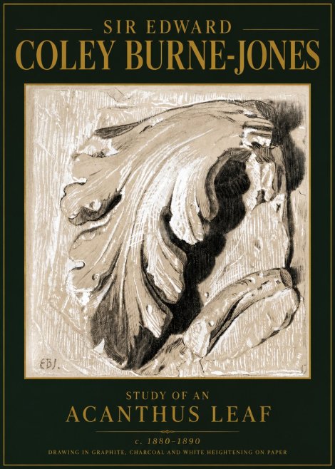 Edward Burne-Jones Study of an Acanthus Leaf No5 - Juliste