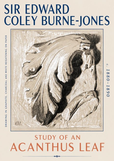 Edward Burne-Jones Study of an Acanthus Leaf No6 - Juliste